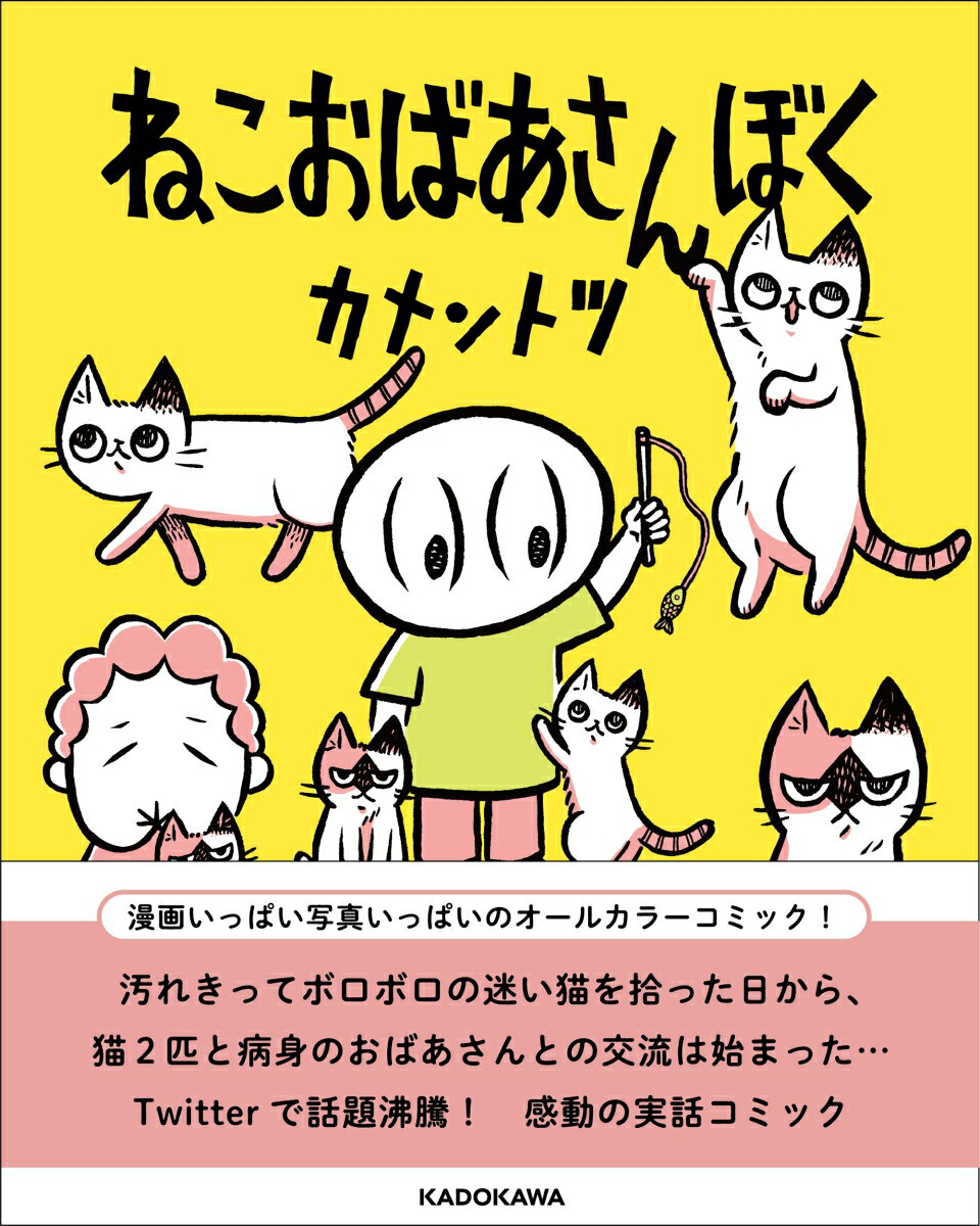 ねこおばあさんぼく（1） [ カメントツ ]