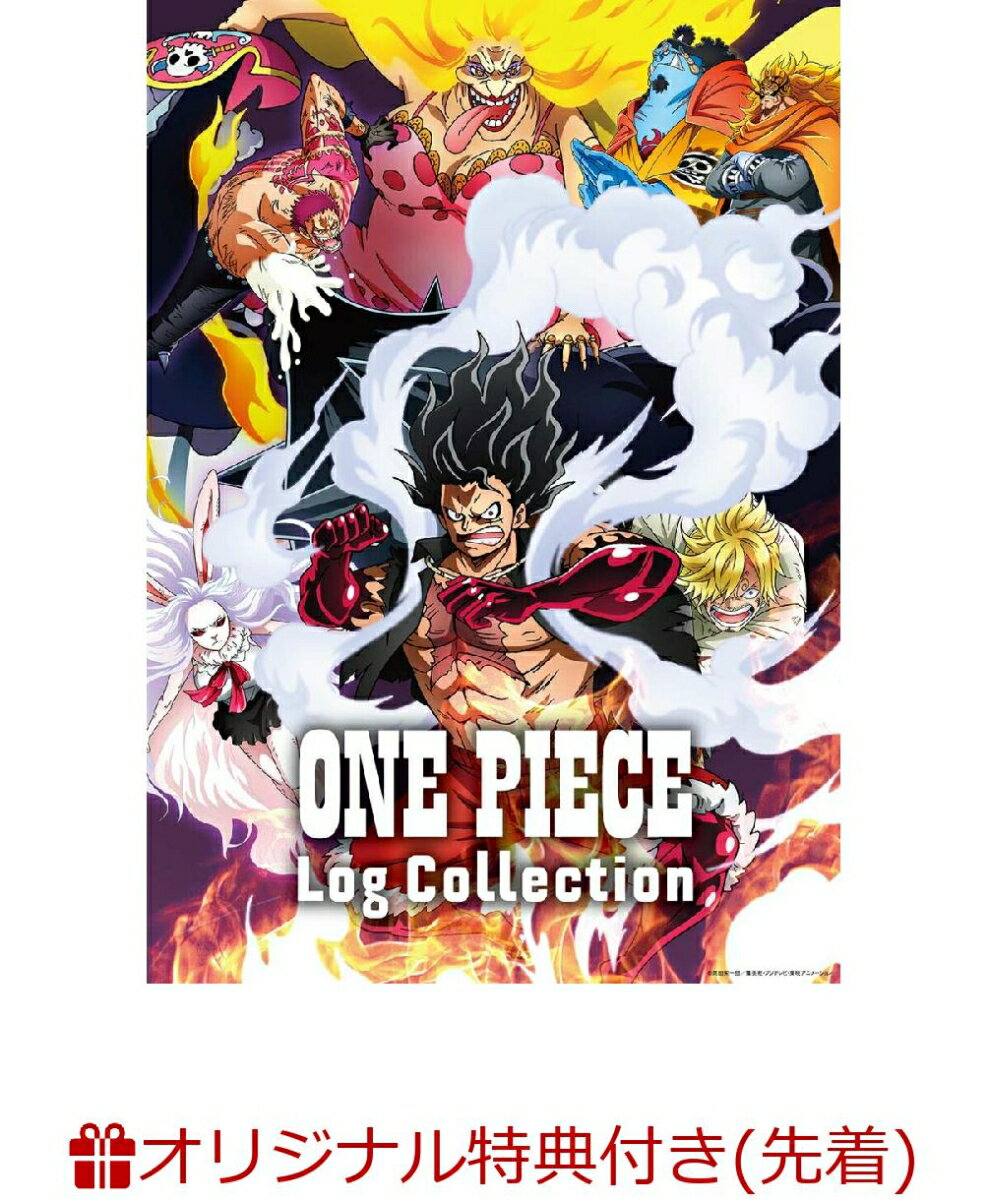 【楽天ブックス限定先着特典+先着特典】ONE PIECE Log Collection “SNAKEMAN”(2L判ブロマイド2枚セット+オリジナル両面A4クリアファイル)