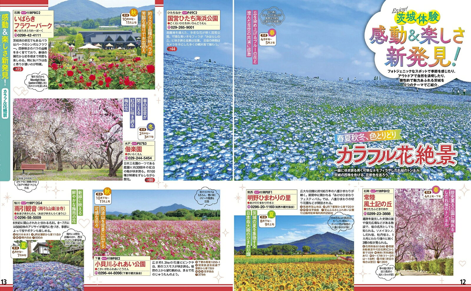 るるぶ茨城 大洗 つくば 水戸 笠間'25 （るるぶ情報版） [ JTBパブリッシング 旅行ガイドブック 編集部 ] book-21409689 楽天ブックス サンプル画像3