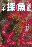 【バーゲン本】海中探魚図鑑ー生きもの摩訶ふしぎ図鑑シリーズ