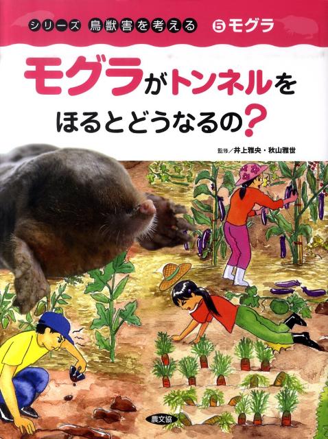 モグラがトンネルをほるとどうなるの？