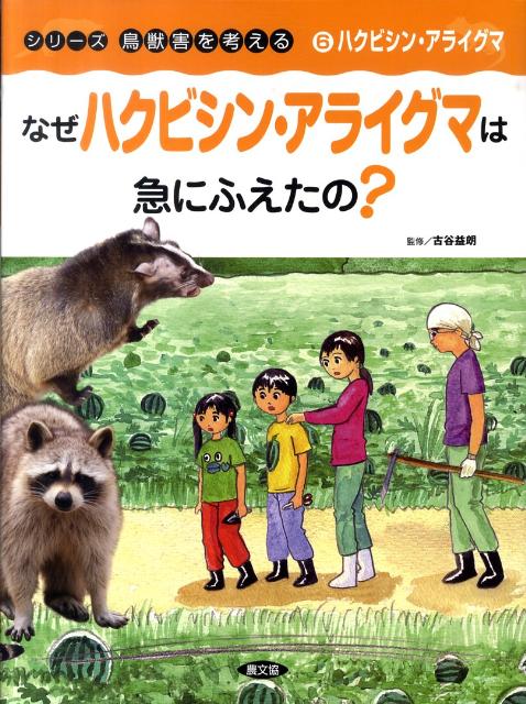 なぜハクビシン・アライグマは急にふえたの？ （シリーズ鳥獣害を考える） [ こどもくらぶ編集部 ]のサムネイル