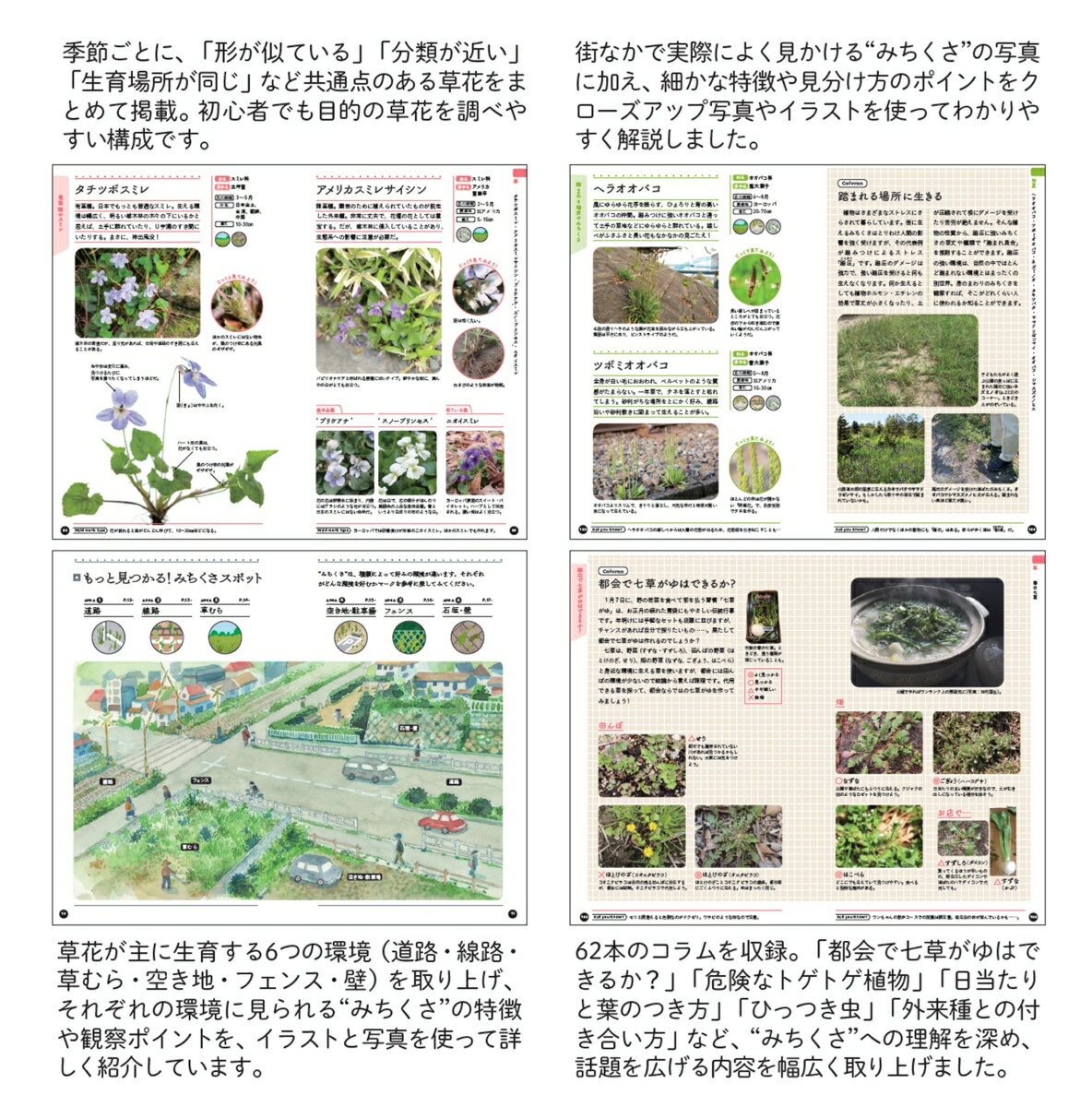 みちくさ手帳 いつもの道の「あの草なに？」がわかります！ [ 佐々木知幸 ] 3