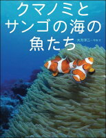 クマノミとサンゴの海の魚たち