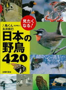 【バーゲン本】見たくなる！日本の野鳥420