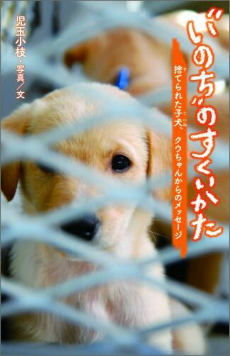 クウちゃんは、生後２ヶ月の子犬です。だれかに捨てられ、動物収容施設にいました。ある日、クウちゃんのもとにあたらしい飼い主が！ひきとり手がいなければ、殺処分されてしまうところでした。幸運にも“いのち”をすくわれたクウちゃん。ただ、そのいっぽうで“捨てられるいのち”は少なくありません。私たちになにができるのかー。涙なしには読めない、真実を伝えるフォト・ストーリー。小学中級から。