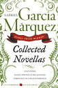 Collected Novellas COLL NOVELLAS （Perennial Cl