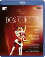 【輸入盤】Don Quixote(Minkus): Tsygankova Golding Rooij De Jong Dutch National Ballet