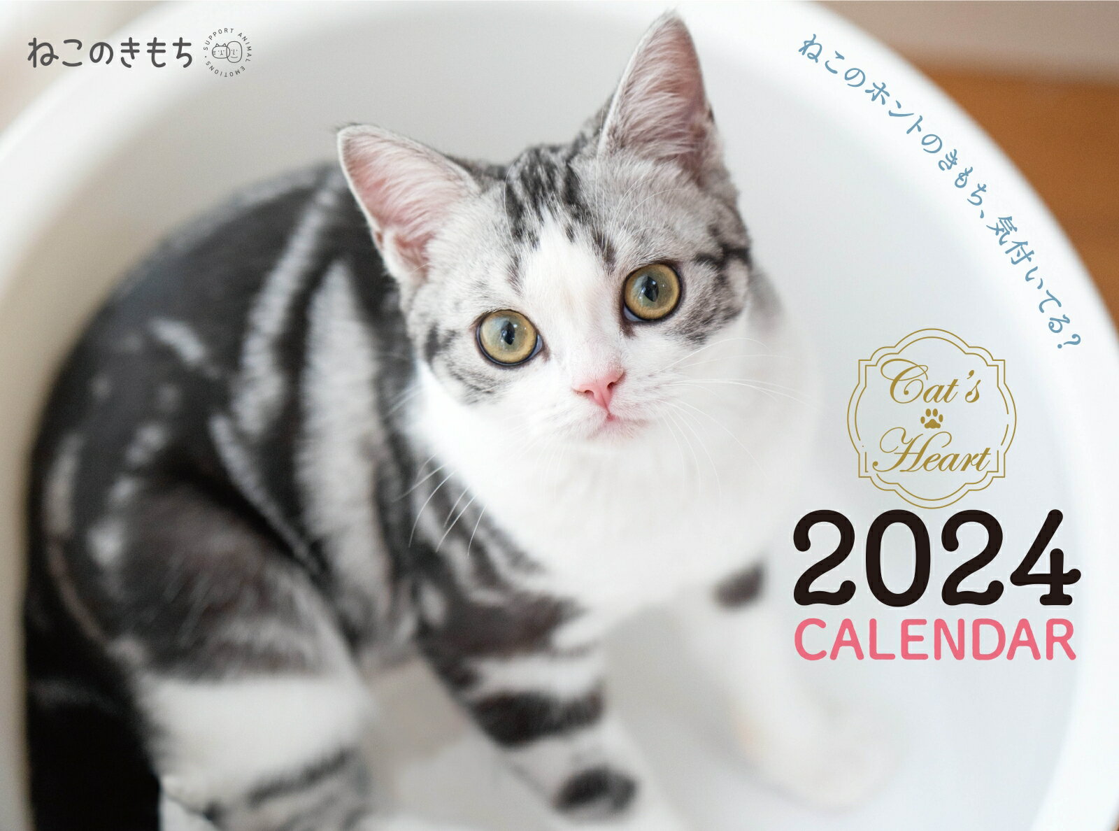 ねこのきもち大判カレンダー2024 [ ねこのきもち編集室 ]