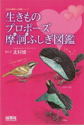 【バーゲン本】生きものプロポーズ摩訶ふしぎ図鑑ー生きもの摩訶ふしぎ図鑑シリーズ