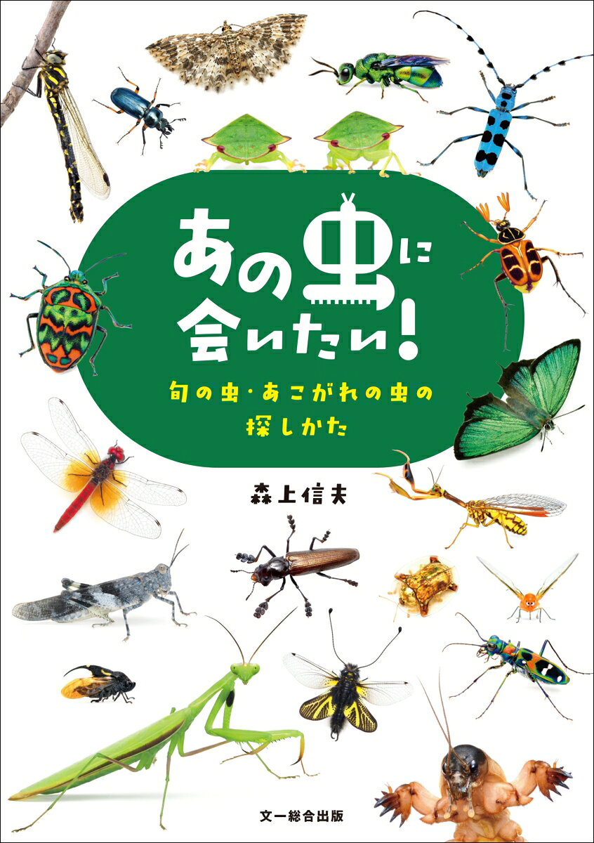 あこがれの「あの虫」に会える！ 昆虫探しのノウハウを満載した攻略本

いつかは出会いたい、あこがれの虫。でもどうやって探せばよいかわからない。
そんな悩みを経験豊富な昆虫写真家が解決します。
本書はお目当ての「あの虫」を見つけるためのノウハウを満載した攻略ガイドブック。
魅力的な虫を季節ごとに選んでいるので、今どんな虫が「旬」かもわかります。

本書を読んで作戦を立て、広大な野山の中からお目当ての小さな虫を探し出しましょう。
作戦が見事にハマり、あこがれの虫に出会えたときの喜びと達成感は格別です。

昆虫図鑑の中ではない、生きている「あの虫」に会いに行こう！

**********************************************************************
【　本書の特長　】

◎約120 種の昆虫が登場！
一年を春、夏（前半・後半）、秋、冬の5つの季節に分け、魅力的な昆虫を各季節ごとに厳選。
いつかは出会いたい「あこがれの虫」、その季節ならではの「旬の虫」70 種をメイン掲載種として紹介し、探し方をくわしく解説しています。
また、メイン掲載種に関わる虫、類似種などサブ掲載種約50 種も紙面に掲載。約120 種の昆虫が登場します。

◎初心者も探せる、楽しめる！
メイン掲載種との出会いの難易度を、初級レベル（★）から上級レベル（★★★）まで3 段階に分けて示しました。
探索を楽しみながら、難易度の高い虫にステップアップしていくという使い方ができ、初心者の方にも最適です。

◎探し方以外の情報も豊富に掲載
生息環境や季節、食草など、探すための手がかりはもちろん、ユニークな習性や興味深い生態などその虫の見どころやエピソードを、鮮明でわかりやすい写真とともに掲載しているので、読み物としても楽しめます。
また、昆虫探しに関連したテーマのコラム5本を掲載。昆虫に関する知識をより深めることができます。
さらに、虫のディテールを細部まで確認できるよう、巻頭にはメイン掲載種を背景のない写真で一覧できるページを設けました。
魅力的な虫が一堂に会し、眺めるだけでも楽しい紙面となっています。