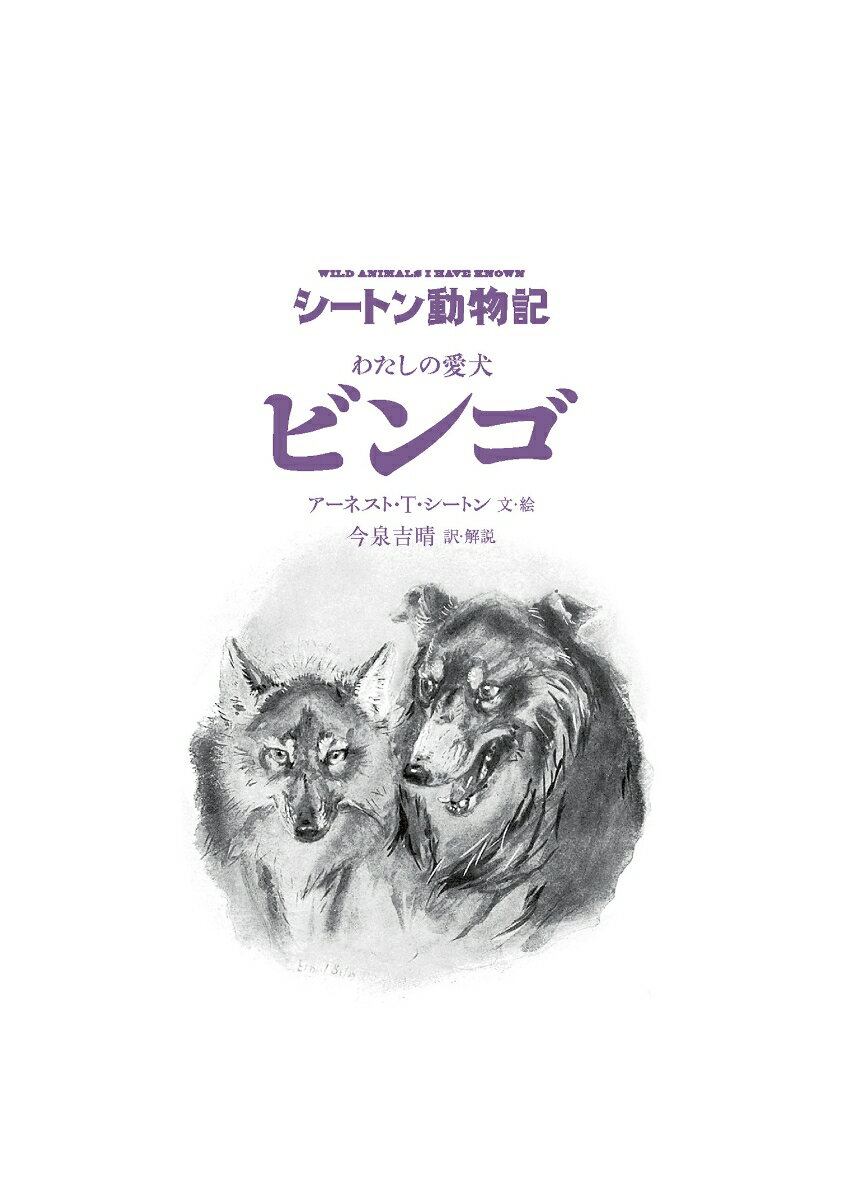 わたしの愛犬ビンゴ(図書館版) (シートン動物...の紹介画像2