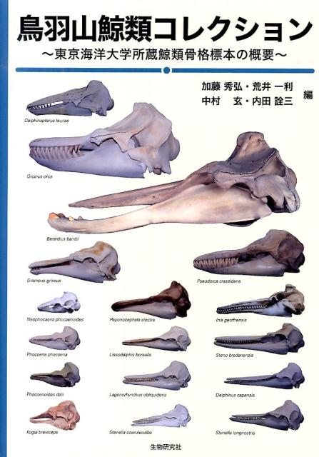 鳥羽山鯨類コレクション 東京海洋大学所蔵鯨類骨格標本の概要 [ 加藤　秀弘 ]