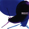 【輸入盤】Wildlife (2CD Remastered And Expanded Edition)