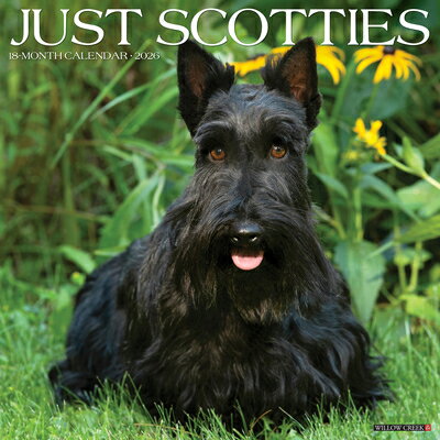 Scotties 2026 Wall Calendar SCOTTIES 2026 WALL CAL [ Willow Creek Press ](3)