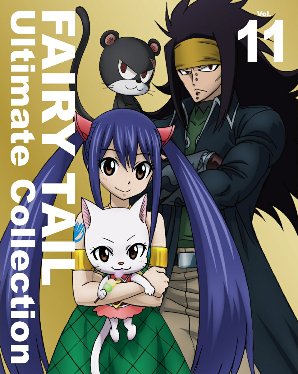 FAIRY TAIL Ultimate Collection Vol.11【Blu-ray】