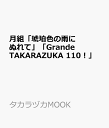 月組「琥珀色の雨にぬれて」「Grande TAKARAZUKA 110!」 (タカラヅカMOOK)