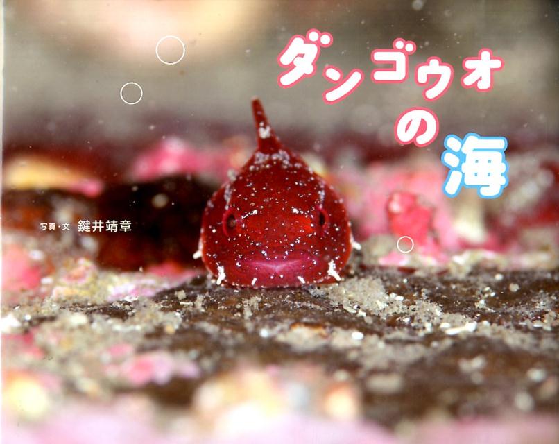ダンゴウオの海 （ふしぎびっくり写真えほん） [ 鍵井靖章 ]のサムネイル