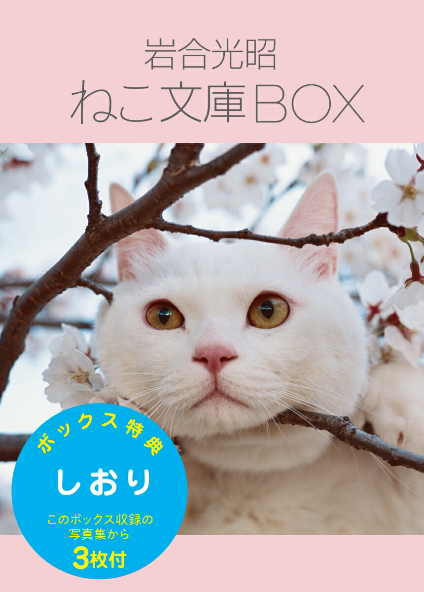 岩合光昭ねこ文庫BOX