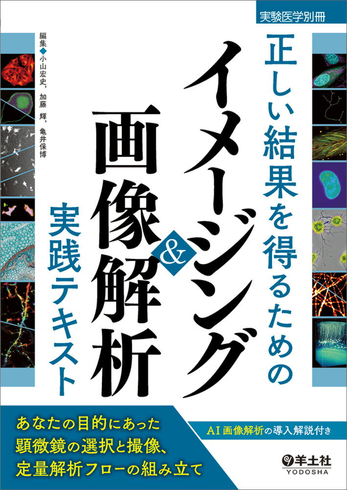 フィールドガイド日本の野鳥[本/雑誌] / 高野伸二/著