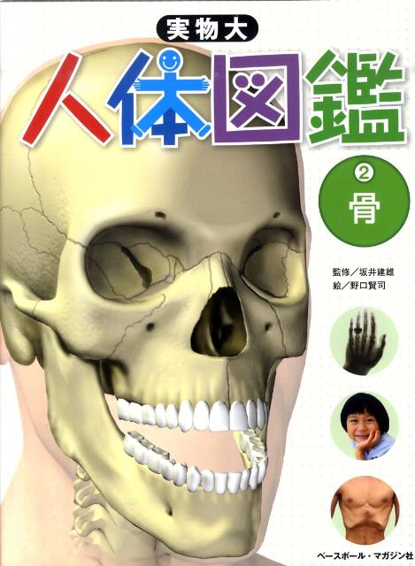 実物大人体図鑑（2）