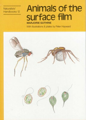 Animals of the Surface Film ANIMALS OF THE SURFACE FILM （Naturalists' Handbooks） [ Marjorie Guthrie ]