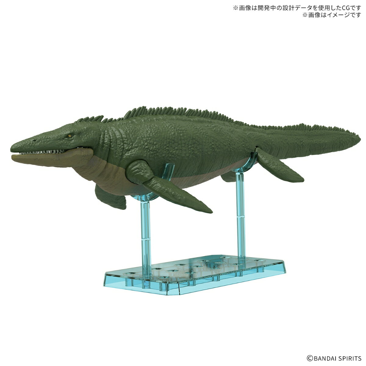 広告画像
