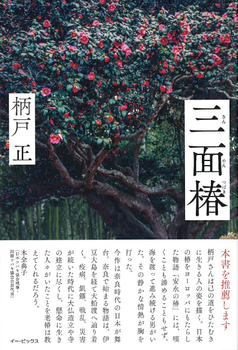 三面椿