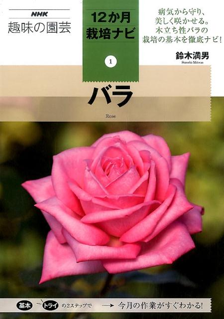 毎月の作業と管理で株を健康に保ち、美しいバラを咲かせましょう。悩みの多い病害虫対策も詳しく解説します。