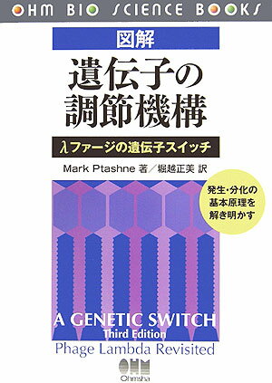 【謝恩価格本】図解 遺伝子の調節機構 -λファージの遺伝子スイッチー