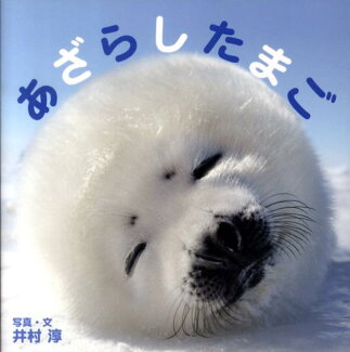 あざらしたまごの表紙