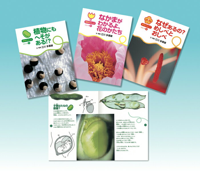 植物のふしぎシリーズ（全3巻）