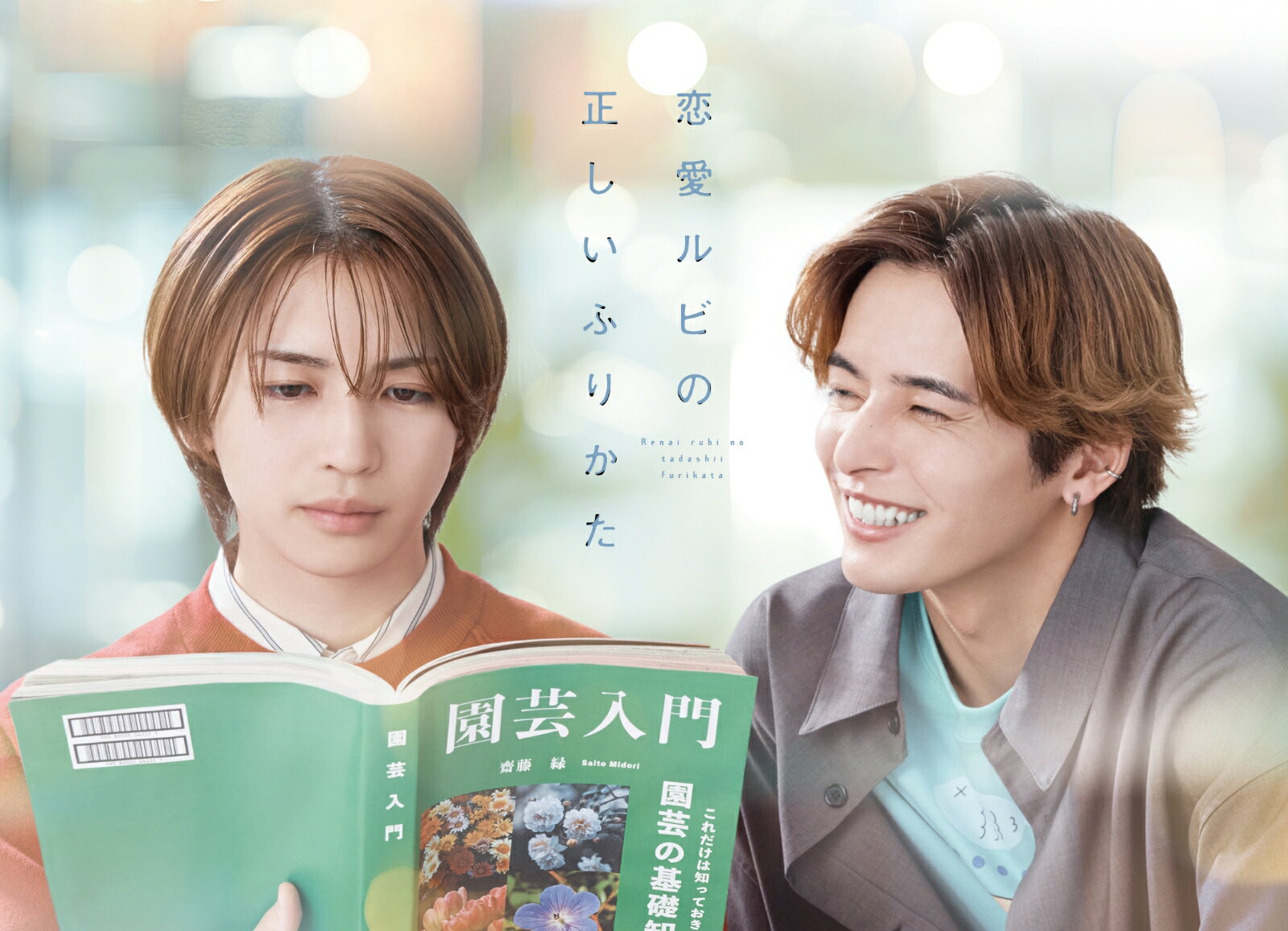 恋愛ルビの正しいふりかた Blu-ray BOX【Blu-ray】