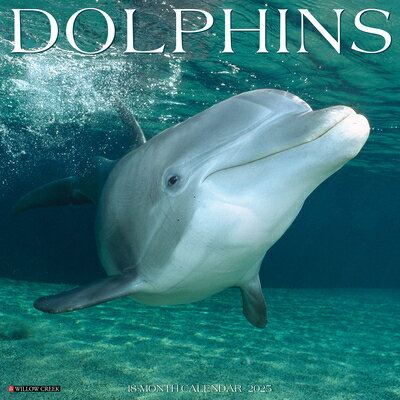 Dolphins 2025 12 X 12 Wall Calendar DOLPHINS 2025 12 X 12 WALL CAL [ Willow Creek Press ]