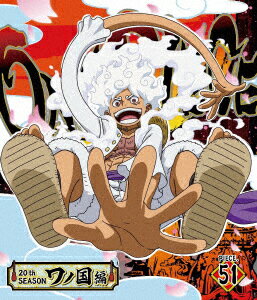 ONE PIECE ワンピース 20THシーズン ワノ国編 PIECE.51 