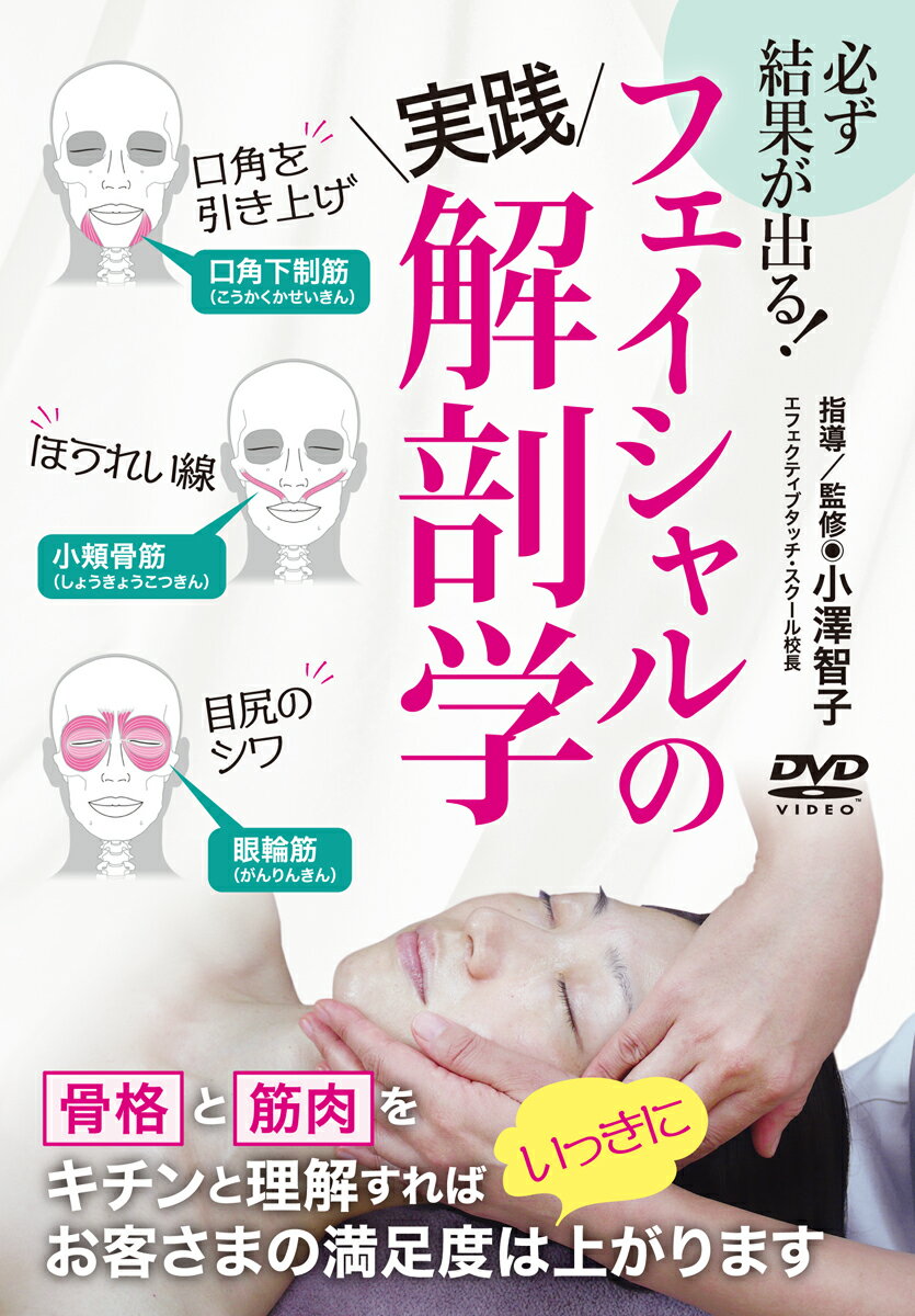 楽天市場】フェイシャル 解剖学の通販 楽天市場】フェイシャル 解剖学の通販