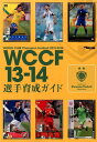 WCCF13-14@I琬KCh [ dARCADEQ[ҏW ]