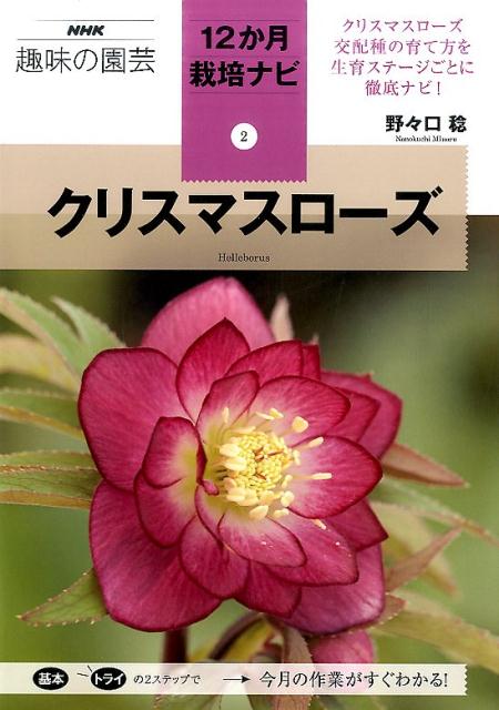 クリスマスローズ NHK趣味の園芸12か月栽培ナビ [ 野々口稔 ]