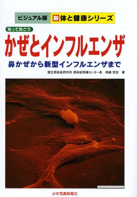 かぜとインフルエンザ 知って防ごう （新体と健康シリーズ　ビジュアル版） [ 岡部信彦 ]