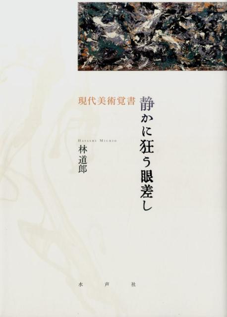 静かに狂う眼差し 現代美術覚書 [ 林道郎 ]