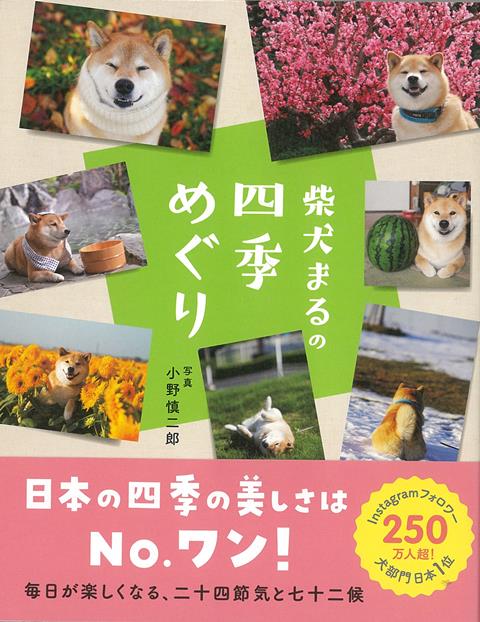 【バーゲン本】柴犬まるの四季めぐり