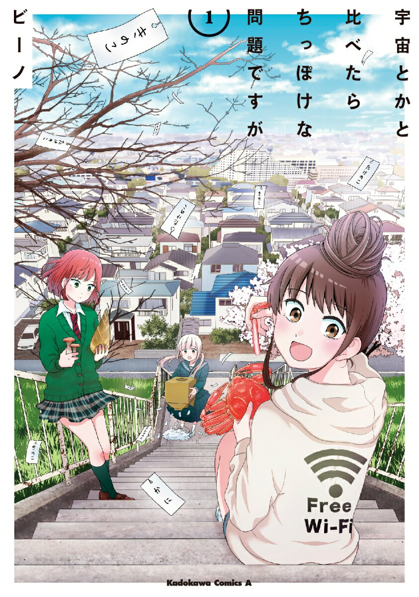 宇宙とかと比べたらちっぽけな問題ですが