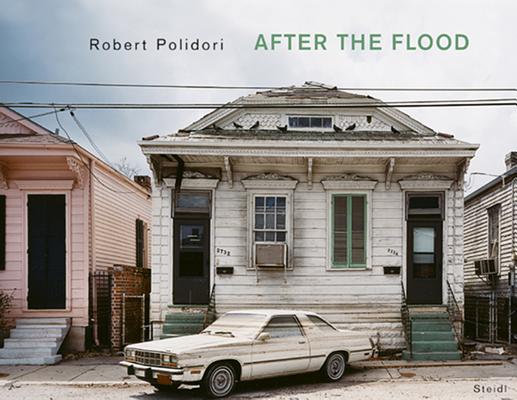 ROBERT POLIDORI:AFTER THE FLOOD(H)