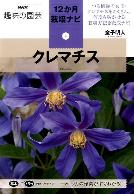 クレマチス （NHK趣味の園芸12か月栽培ナビ） [ 金子明人 ]