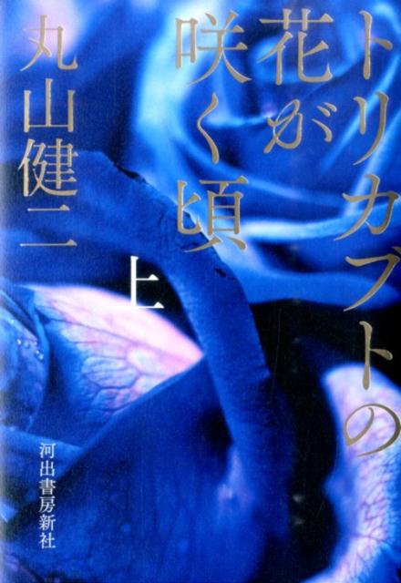 トリカブトの花が咲く頃（上）