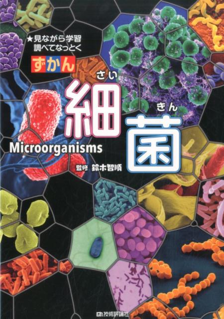 ずかん細菌 見ながら学習調べてなっとく [ 鈴木智順 ]