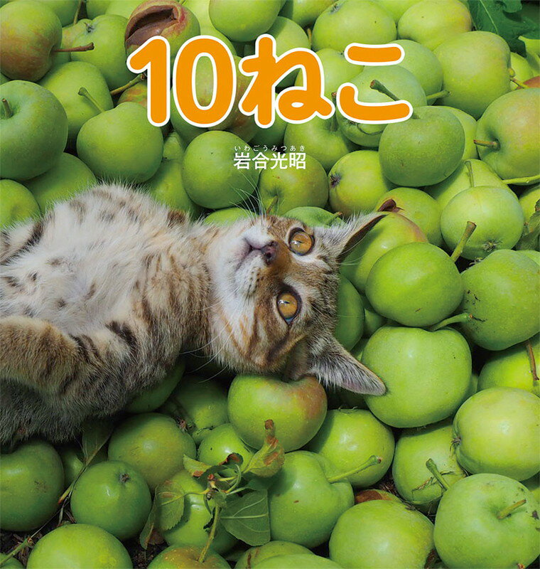 10ねこ