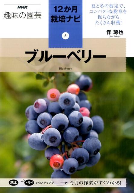 ブルーベリー （NHK趣味の園芸12か月栽培ナビ） [ 伴琢也 ]