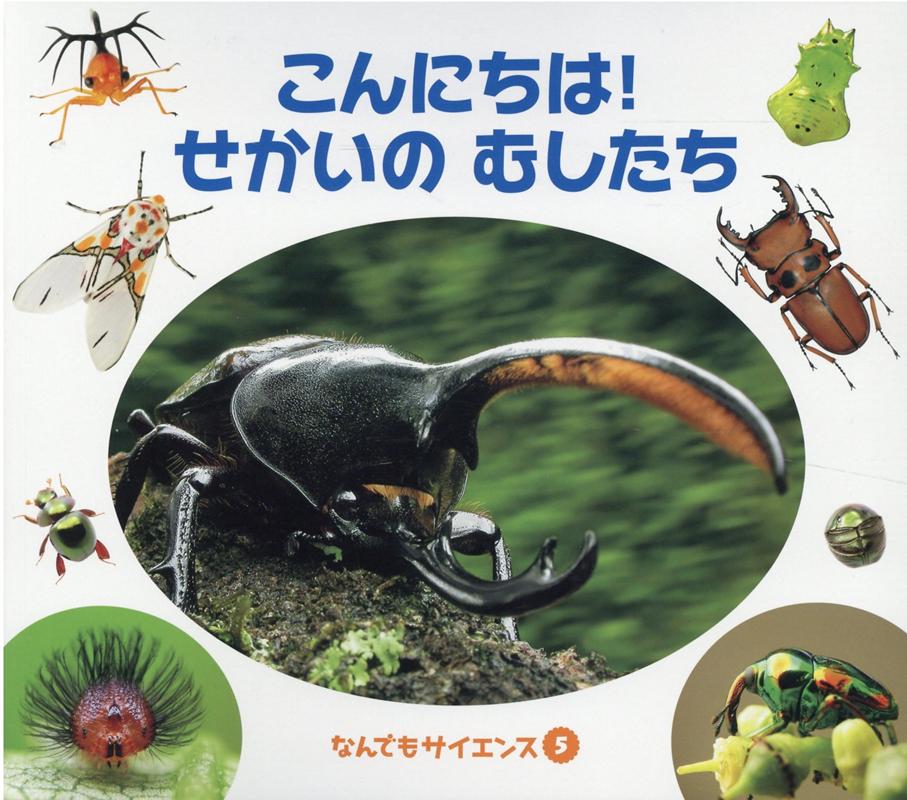 こんにちは！せかいのむしたち