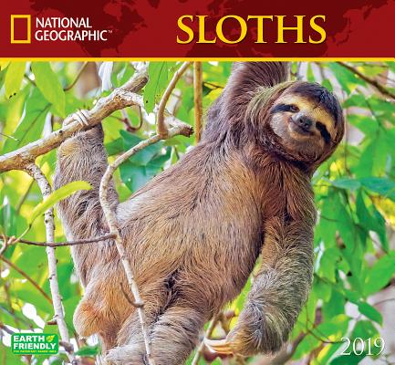 Cal 2019 National Geographic Sloths CAL 2019-NATL GEOGRAPHIC SLOTH [ National Geographic ]
